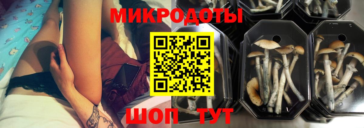Галлюциногенные грибы мухоморы Чебаркуль